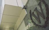 Туры в отель Windsor Martinique Hotel