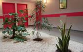 Туры в отель Kosy Aparthotel Campus del Sol Esplanade