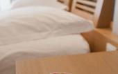 Туры в отель Hotel de la Vallee