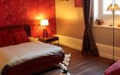 Туры в отель Villa Primerose