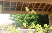 Туры в отель Maison D'hotes Le 6 Bis
