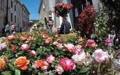 Туры в отель Maison Carles BnB