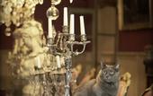 Туры в отель Hotel Jardins Secrets