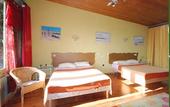 Туры в отель Hotel Rose