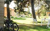 Туры в отель Hotel Rose