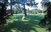 Туры в отель Hotel Rose