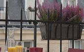 Туры в отель Hotel Biskui