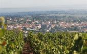 Туры в отель Chateau De Champlong