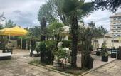 Туры в отель Hotel Marzia Riccione