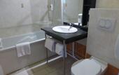 Туры в отель Hotel L'Oceane Angers Parc Expo