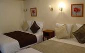 Туры в отель Hotel du Tertre