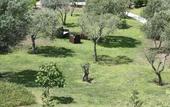 Туры в отель Residence Casarina