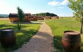 Туры в отель Domaine Joseph LAFARGE Wine Resort Oeno-tonneaux experience