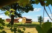 Туры в отель Domaine Joseph LAFARGE Wine Resort Oeno-tonneaux experience