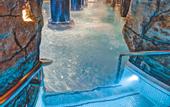 Туры в отель Riu Palace Oasis