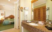 Туры в отель Riu Palace Oasis