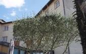 Туры в отель Hotel L'Hotan