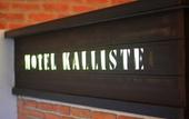 Туры в отель Kalliste Hotel