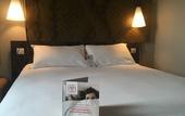 Туры в отель ibis Niort Est Mendes France