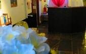 Туры в отель Hotel Patricia