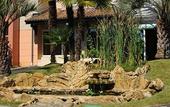 Туры в отель Abor Hotel