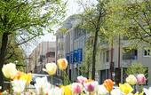 Туры в отель B&B HOTEL Rodez Bourran