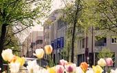 Туры в отель B&B HOTEL Rodez Bourran