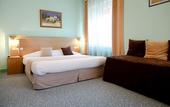 Туры в отель Rex Hotel