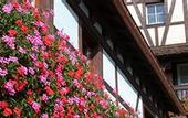Туры в отель Citotel Les Vosges