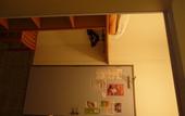 Туры в отель Arche Hotel