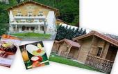 Туры в отель Logis Hotel le Relais du Mont Blanc
