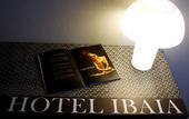 Туры в отель Hotel Ibaia