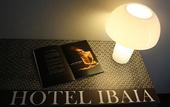 Туры в отель Hotel Ibaia