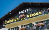 Туры в отель Caprice Des Neiges