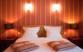 Туры в отель Hotel Le Faisan Dore