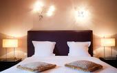 Туры в отель Hotel Le Faisan Dore