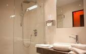 Туры в отель Hotel Le Faisan Dore
