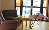 Туры в отель Sure Hotel by Best Western Mougins Belvedere