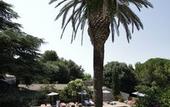Туры в отель Les Jardins de Cassis - Parking Jacuzzi Piscine Chauffee
