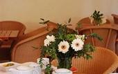 Туры в отель Les Jardins de Cassis - Parking Jacuzzi Piscine Chauffee