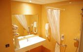 Туры в отель ibis Styles Nancy Laxou