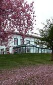 Туры в отель Logis _ Hotel Restaurant La Sapiniere