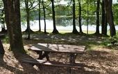 Туры в отель Terres de France - Domaine du Moulin Neuf
