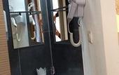 Туры в отель Mauguio Center Hotel
