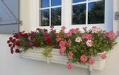 Туры в отель B&B Villa Blanche