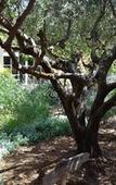 Туры в отель Les Jardins de l'Ermitage