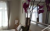 Туры в отель B&B My Art House - Douai Centre