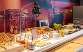 Туры в отель ibis budget Gonesse Le Bourget