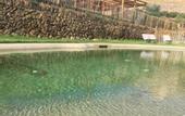 Туры в отель Domaine de la Font des Peres