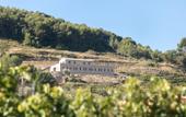 Туры в отель Domaine de la Font des Peres